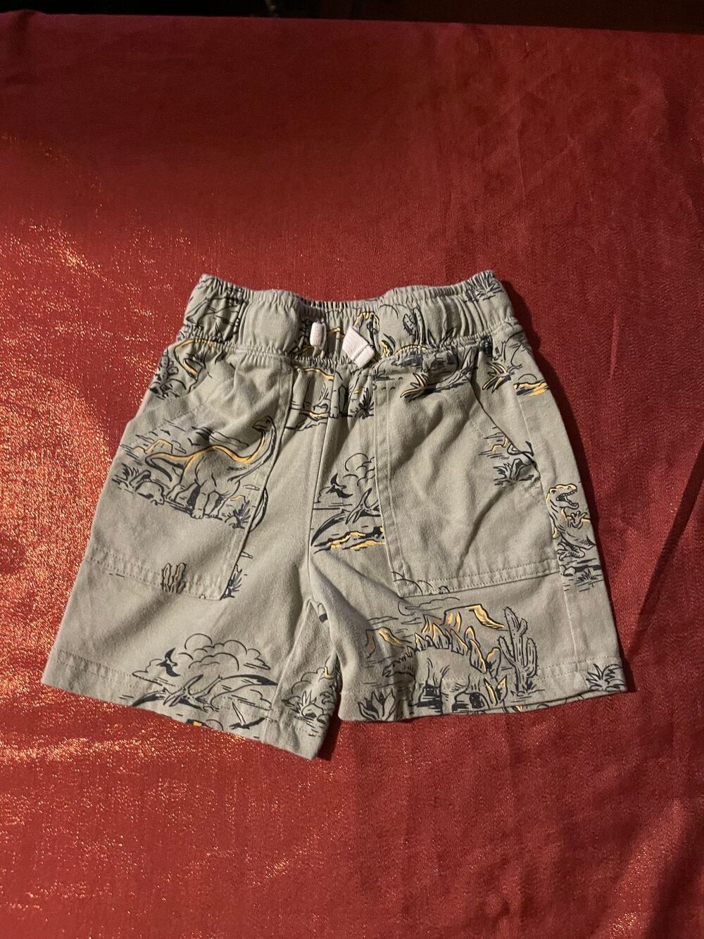 365 Kids from Garanimals Shorts Kids 5 Dinosaur Print Green Elastic Waist